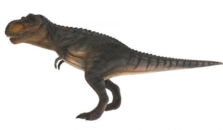 Głowa tyranozaura jak klimatyzator