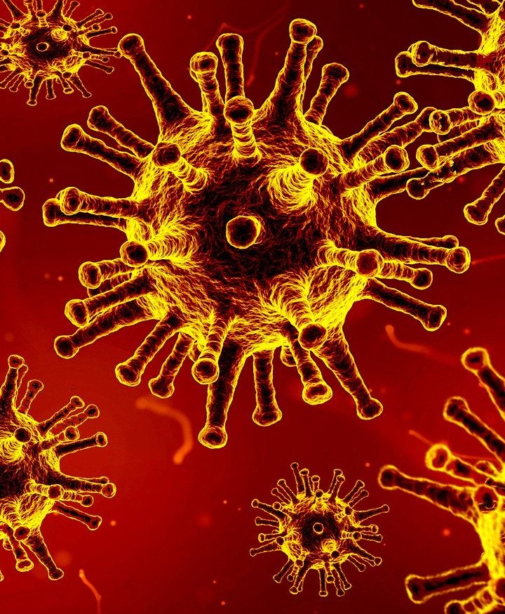 BioMaxima S.A. rozpoczyna sprzedaż analizatorów do badania pacjentów z zakażeniem SARS-CoV-2, planuje wprowadzić test antygenowy