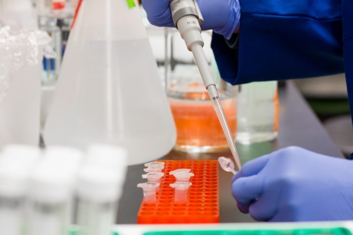 Czynniki wpływające na uzyskanie wiarygodnych wyników badań laboratoryjnych