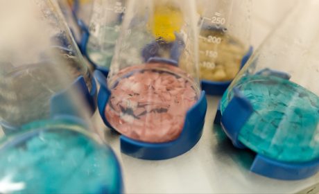 Skuteczne zarządzanie laboratorium: Fibro-Lab sp. z o.o.