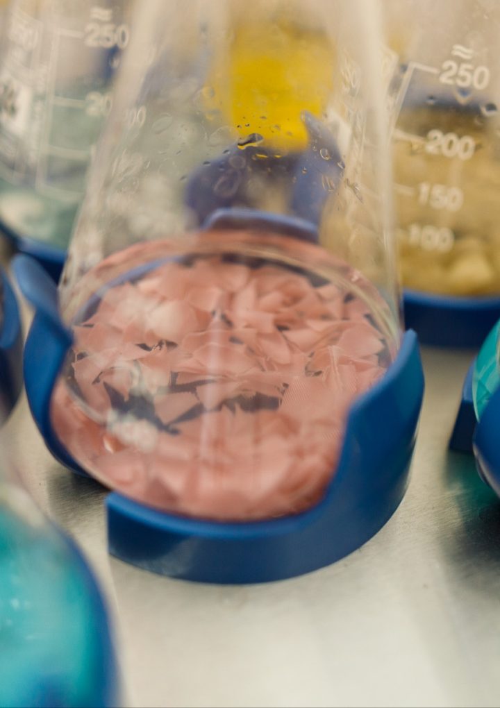 Skuteczne zarządzanie laboratorium: Fibro-Lab sp. z o.o.