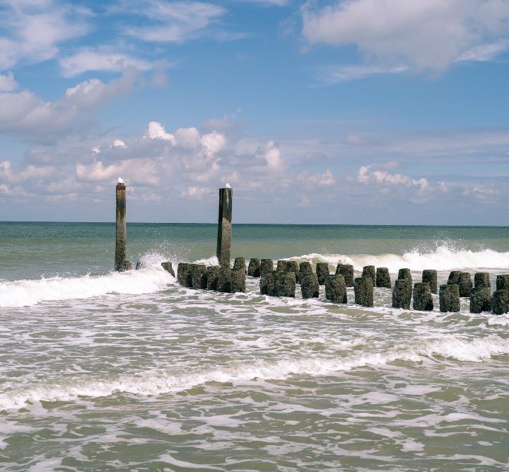 Monitoring Bałtyku z orbity i laboratoriów
