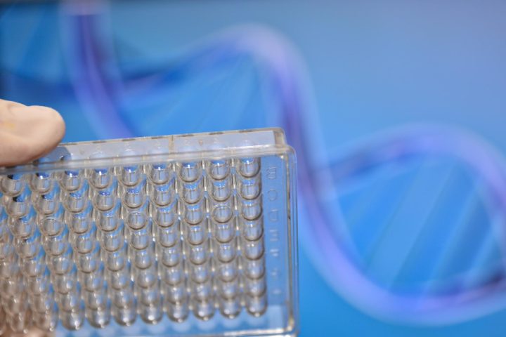 DNA Piastów pod lupą. Polscy naukowcy wykorzystali archeogenomikę do rozwiązania historycznej zagadki