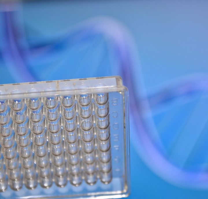 DNA Piastów pod lupą. Polscy naukowcy wykorzystali archeogenomikę do rozwiązania historycznej zagadki