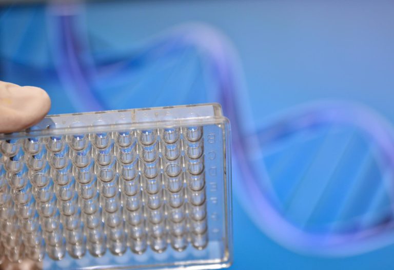 badania DNA