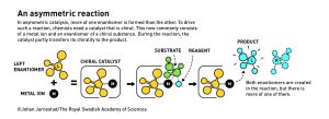 nobel z chemii 2026 - synteza asymetryczna